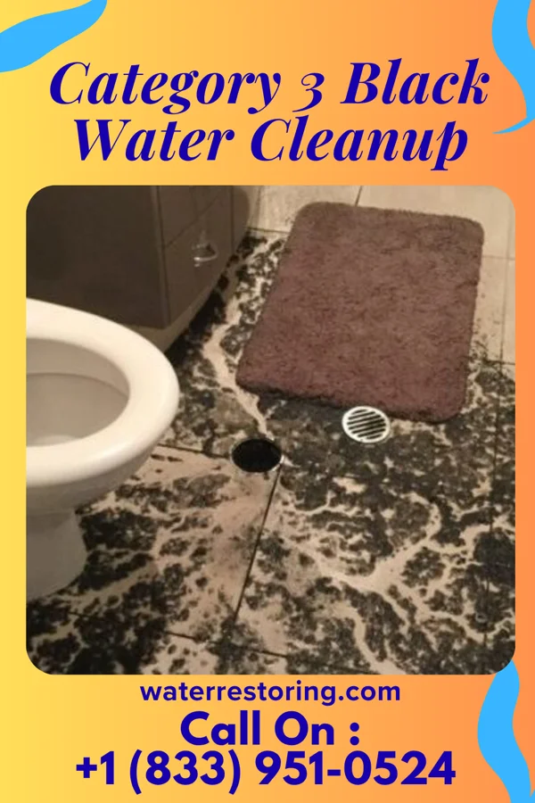 Category 3 Black Water Cleanup in North Richland Hills, TX